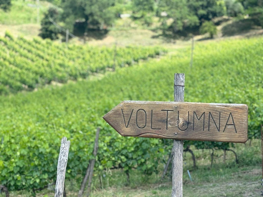 Voltumna