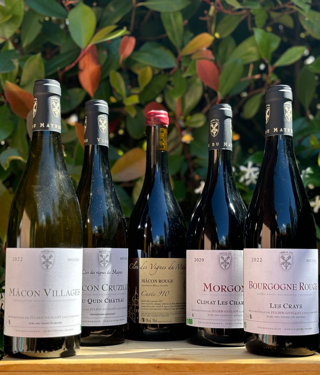 Clos des Vignes du Maynes