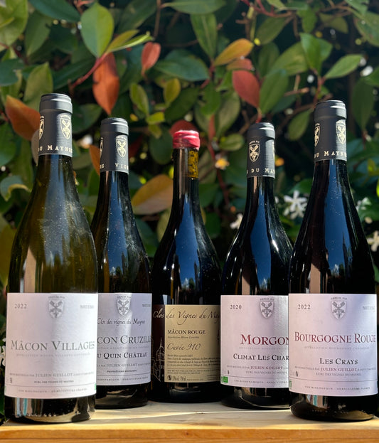 Clos des Vignes du Maynes