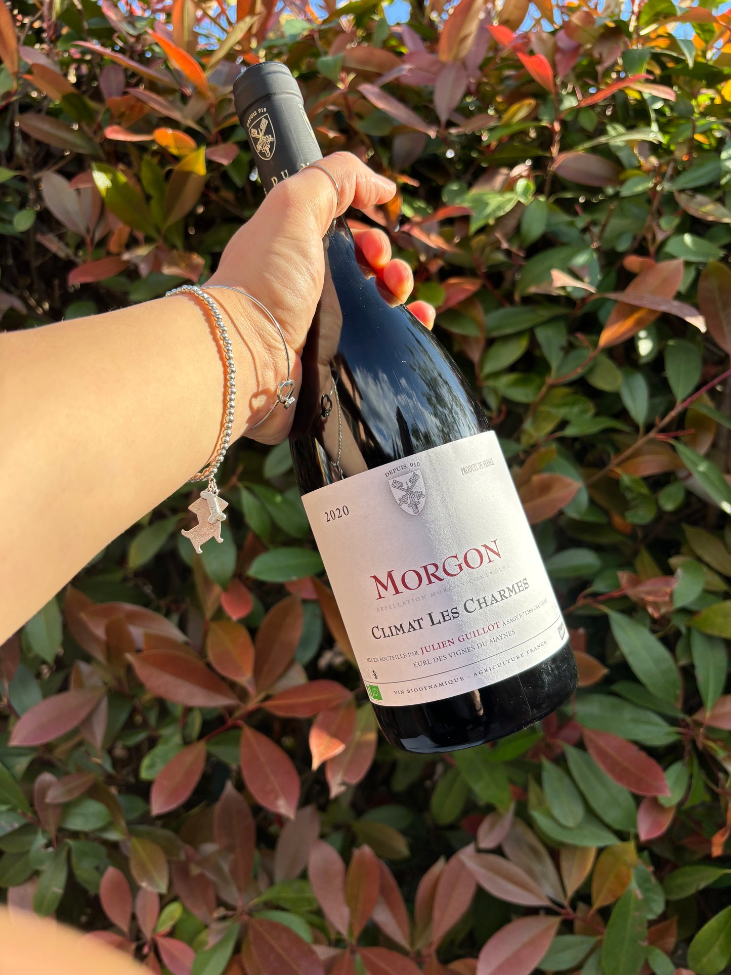 Morgon Les Charmes 2020