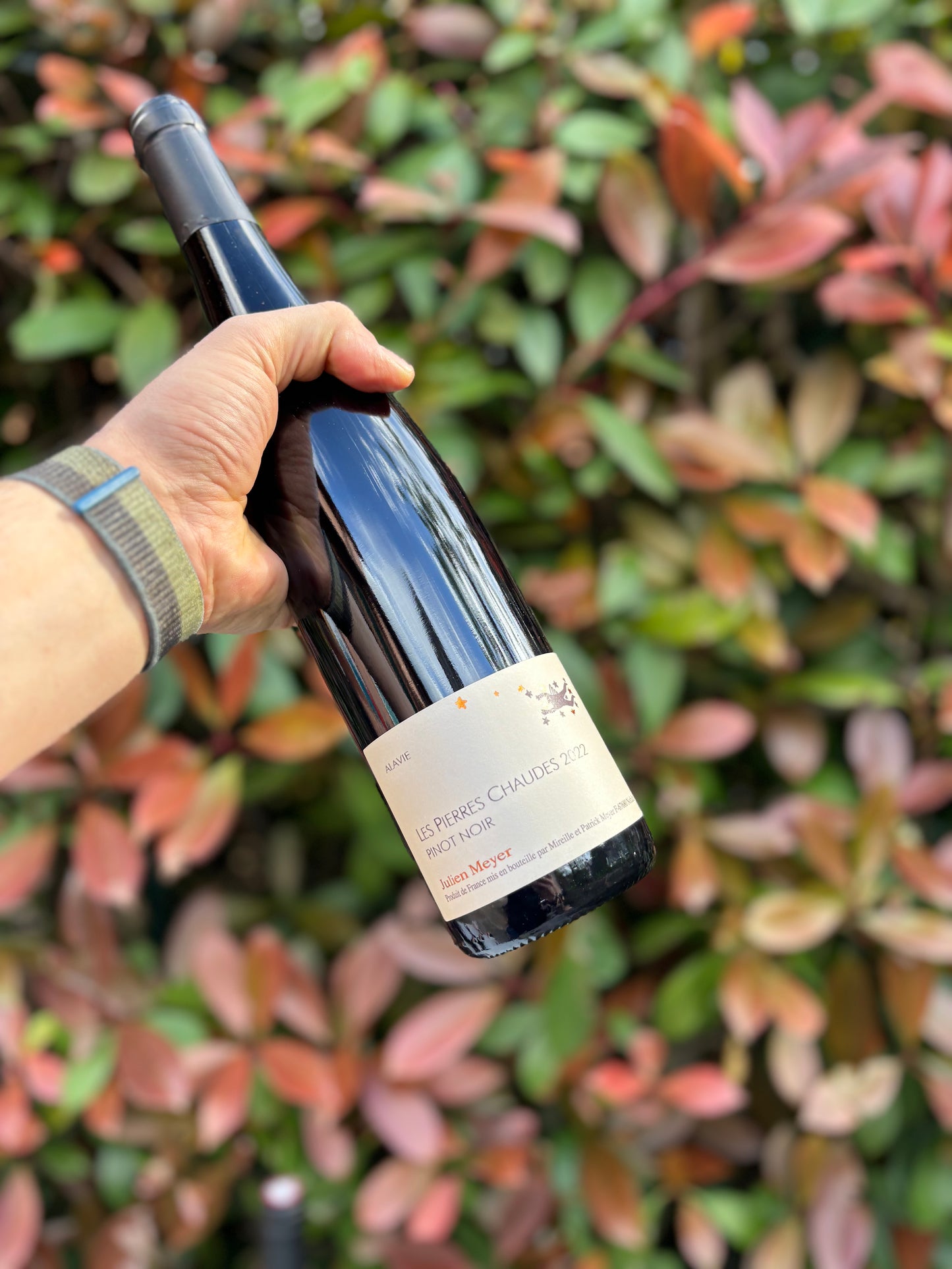 Pinot Noir Les Pierres Chaudes 2022