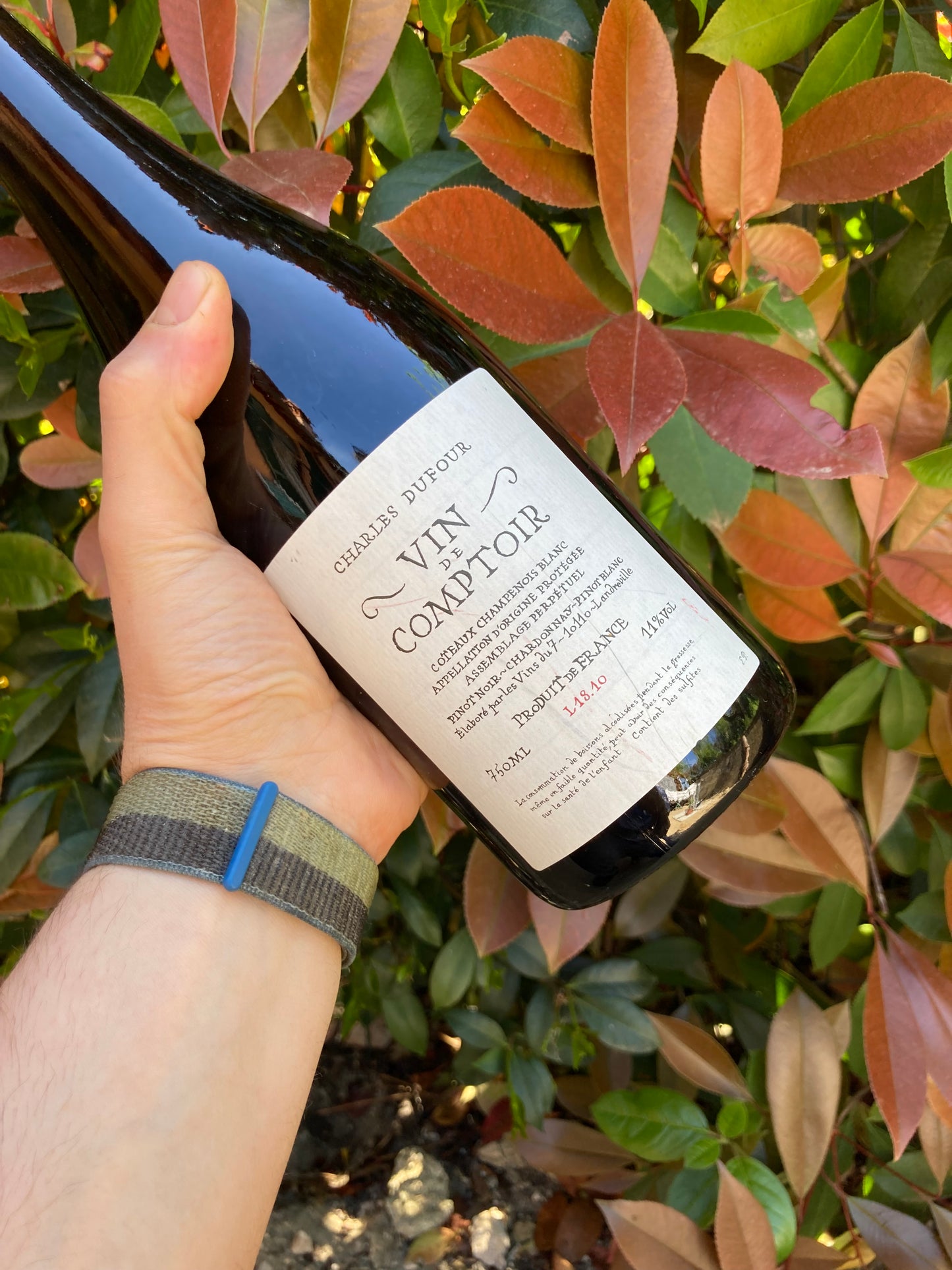 Coteaux Champenois blanc L.18.10