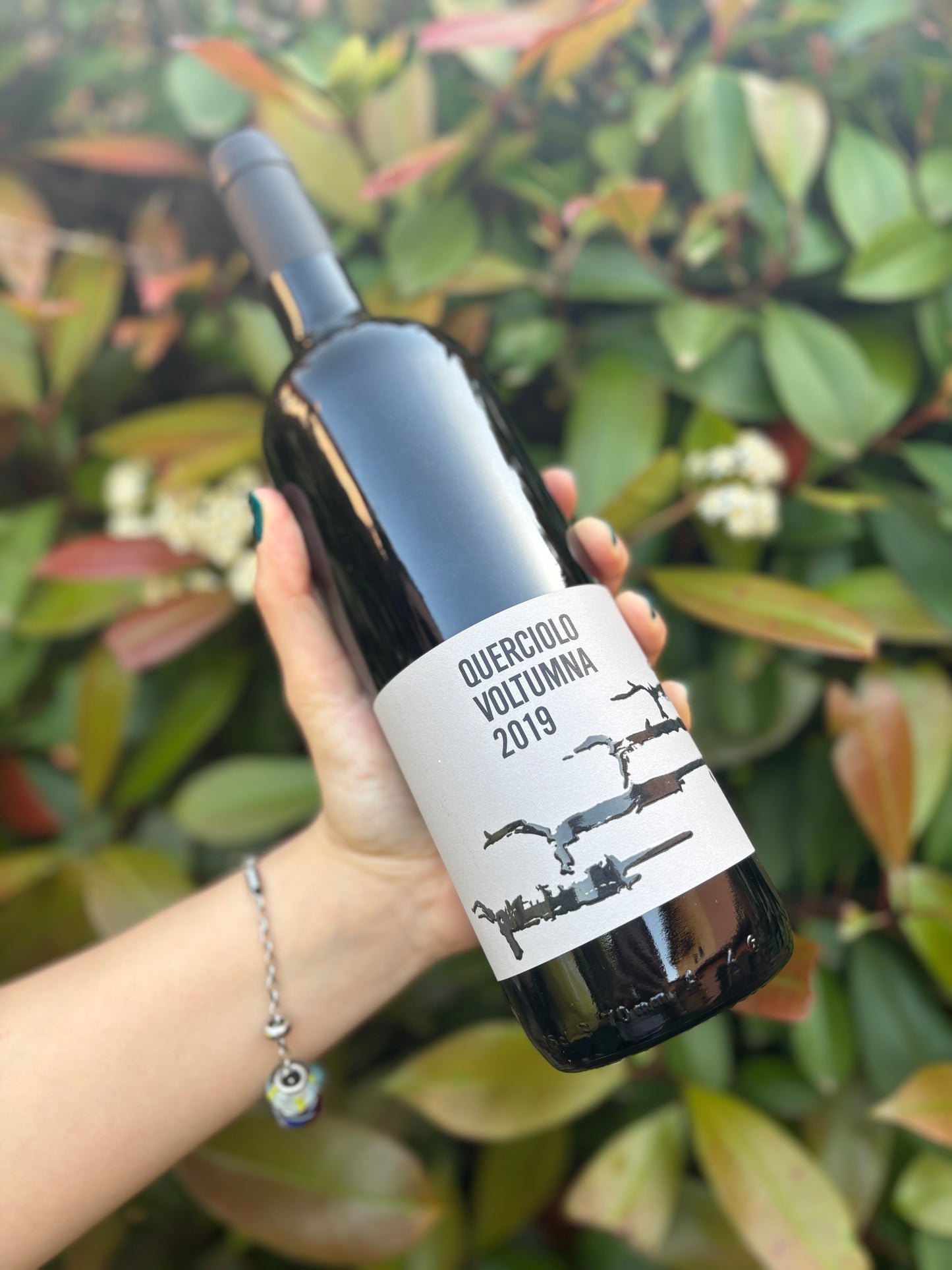 Querciolo 2019