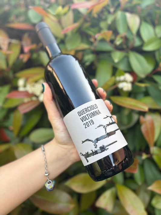 Querciolo 2019