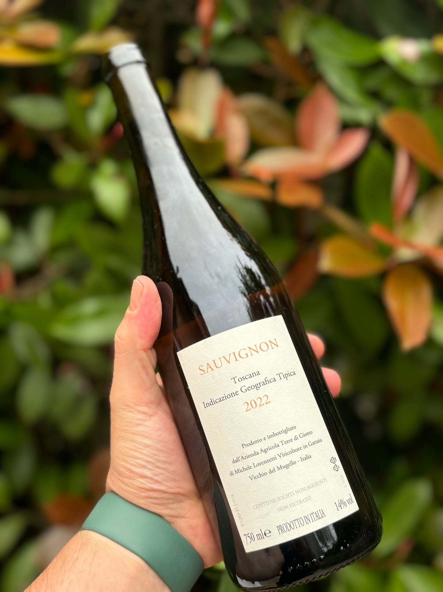 Sauvignon 2022