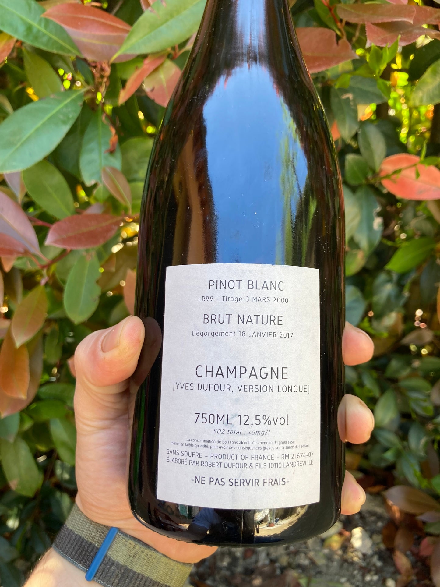 Pinot Blanc 1999 Brut Nature