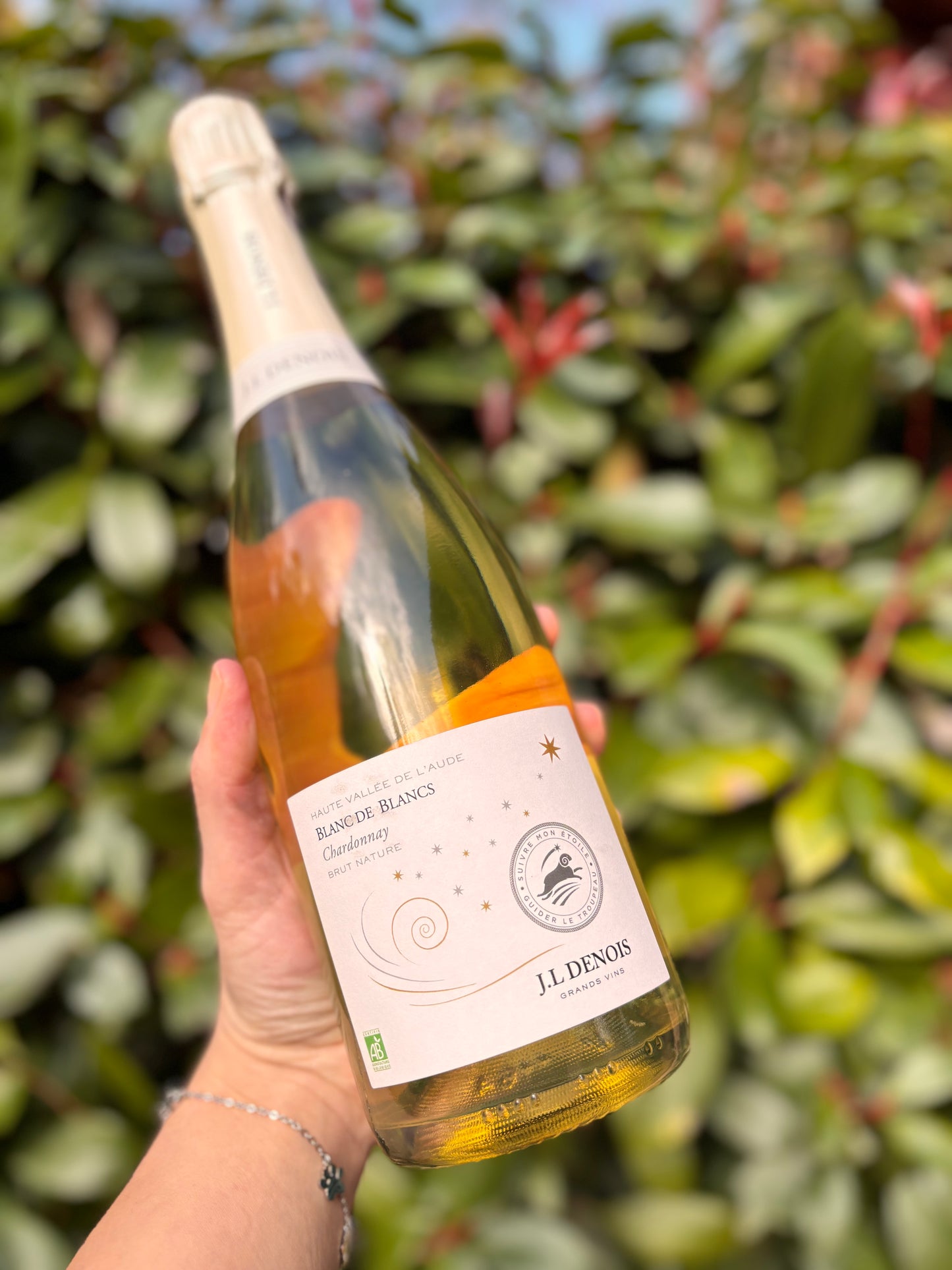 Blanc de Blancs Brut Nature