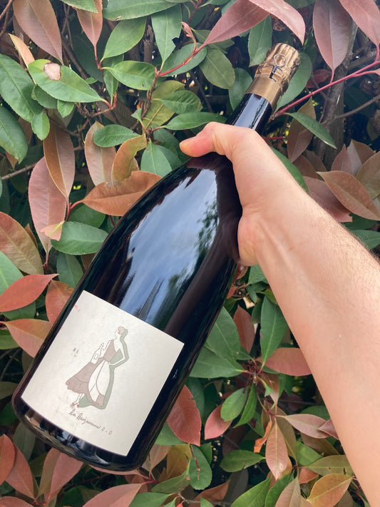 La Benjamine #6 2.0, Bulles de Comptoir, Magnum