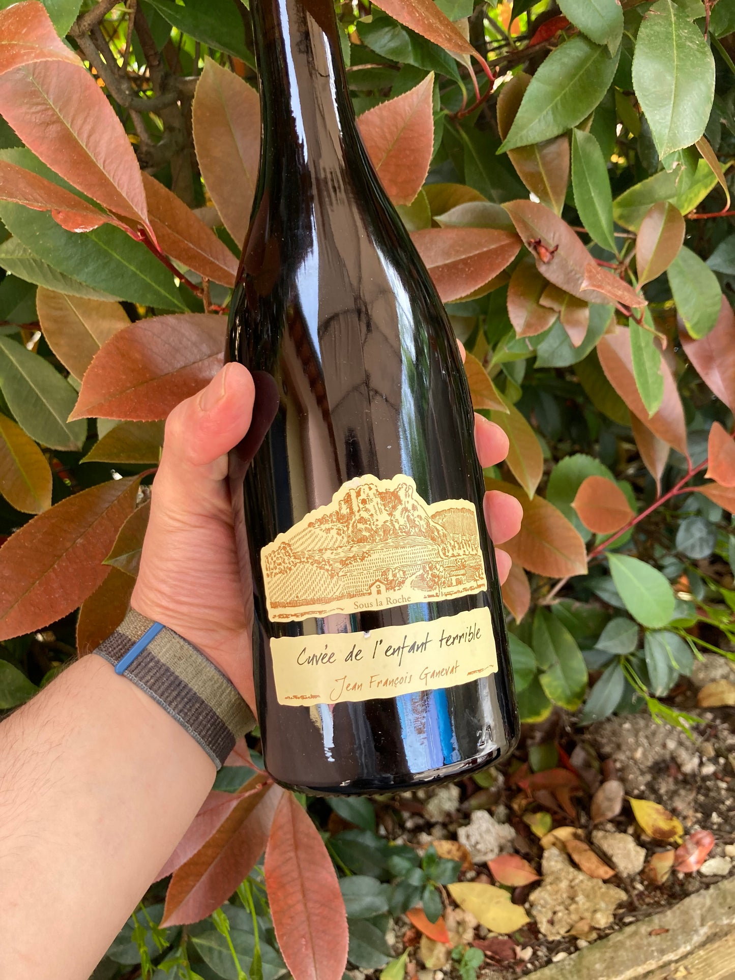 Cuvée de l'enfant terrible 2018