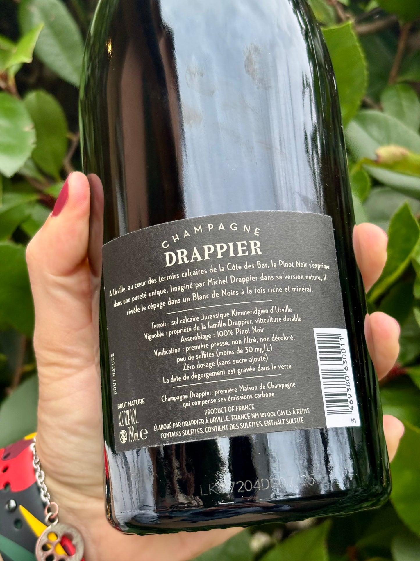 Brut Nature Pinot Noir Zero Dosage