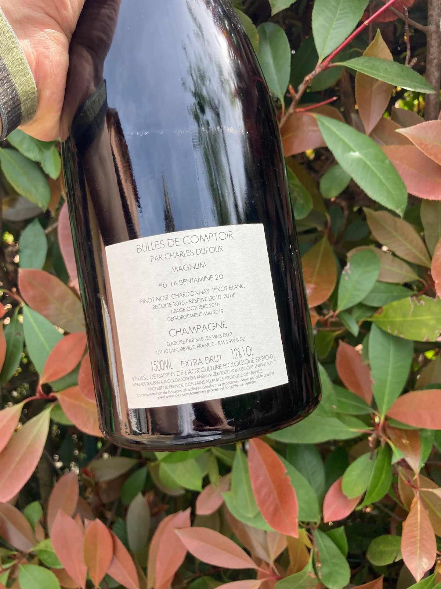 La Benjamine #6 2.0, Bulles de Comptoir, Magnum