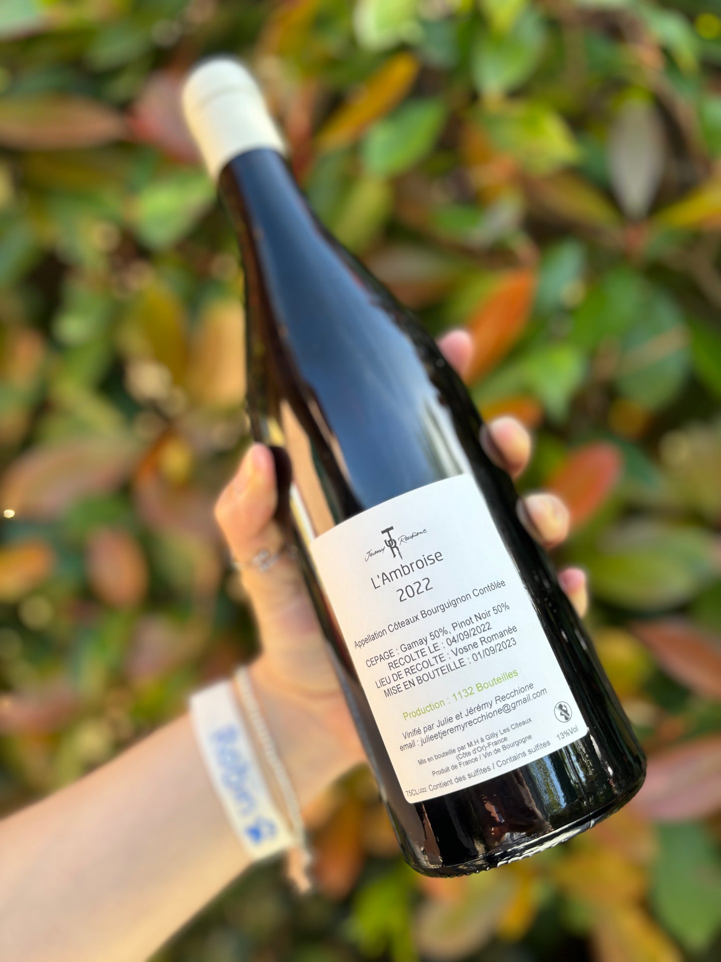 L'Ambroise Côteaux Bourguignons 2022