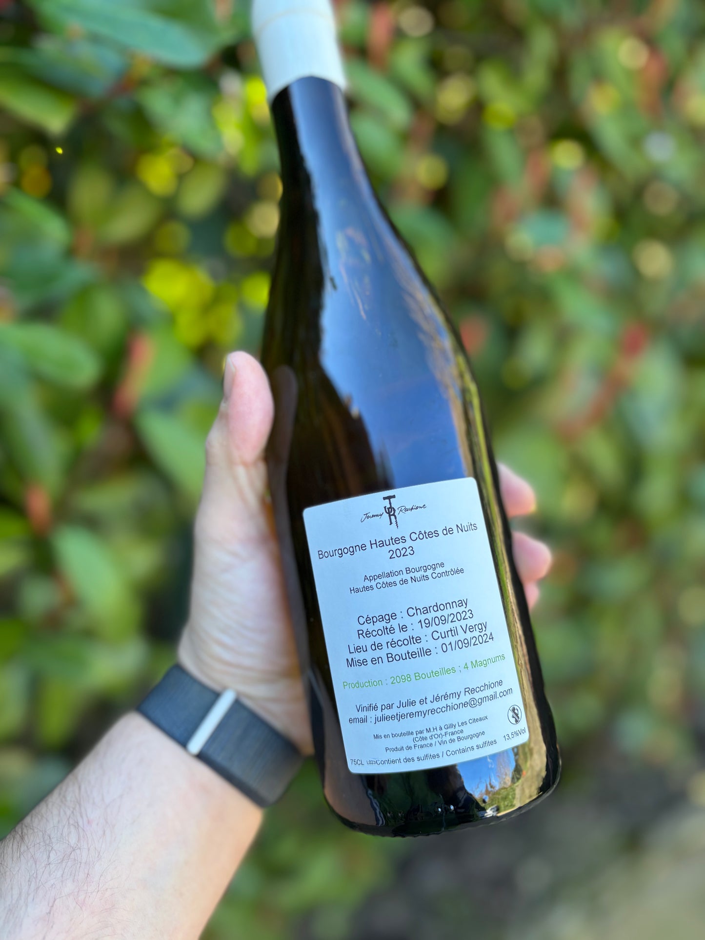 Haute côte de Nuits blanc 2023