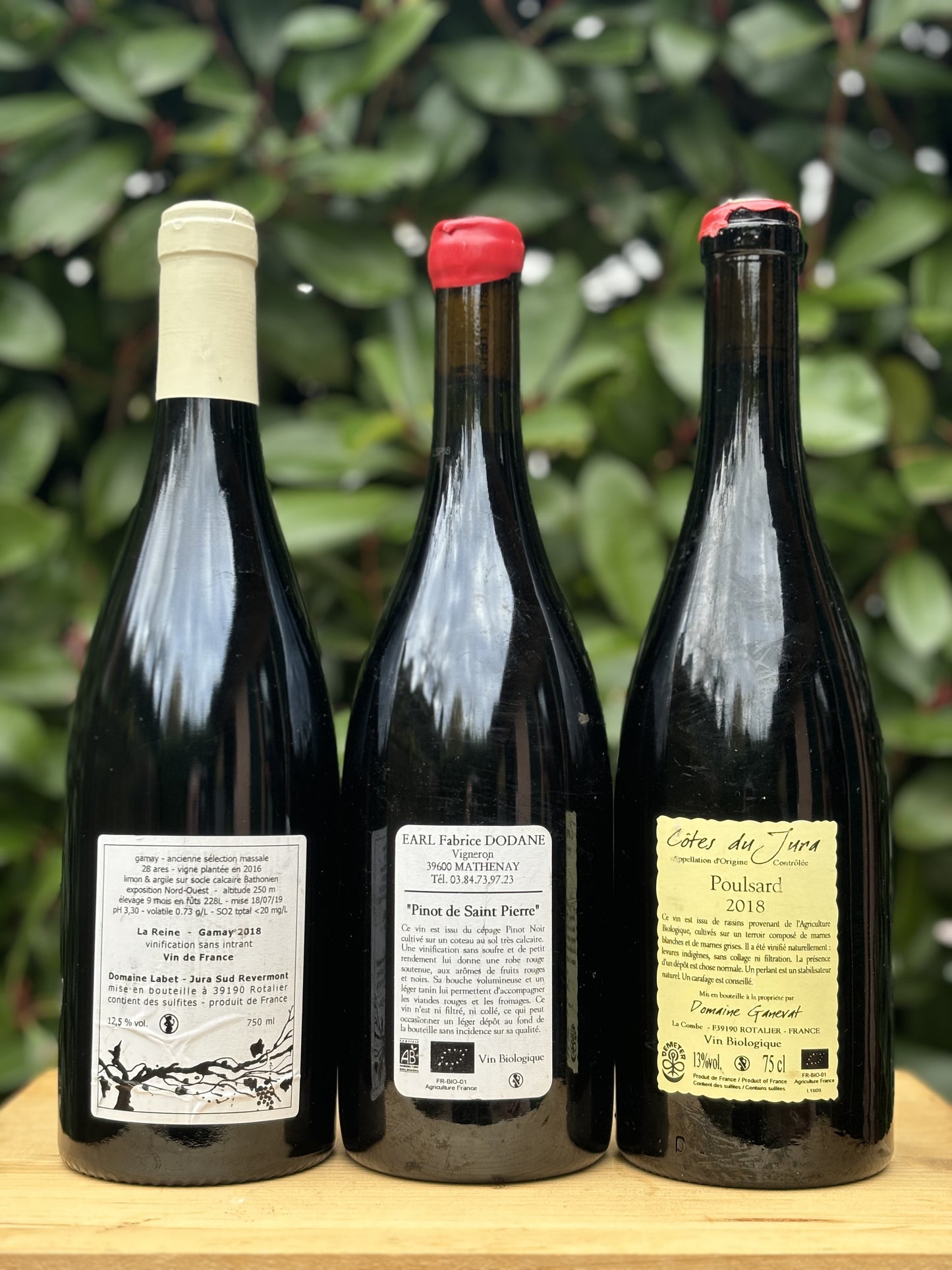 Box Jura rossa ‘18