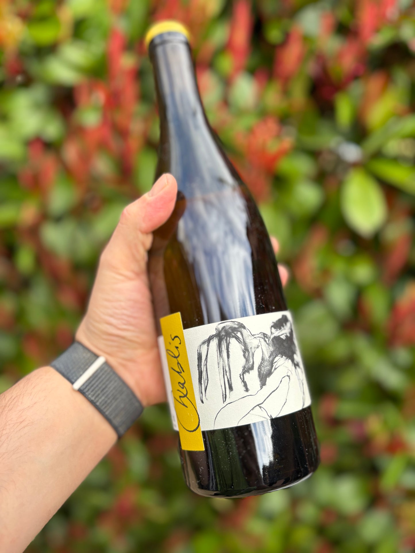 Chablis Vent d’Anges 2023