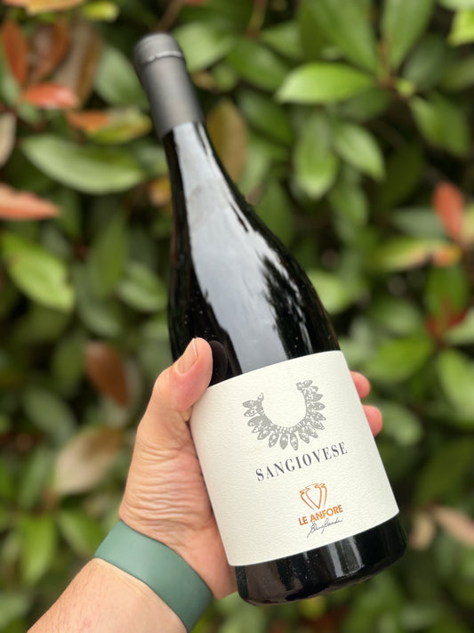 Sangiovese in Anfora 2019