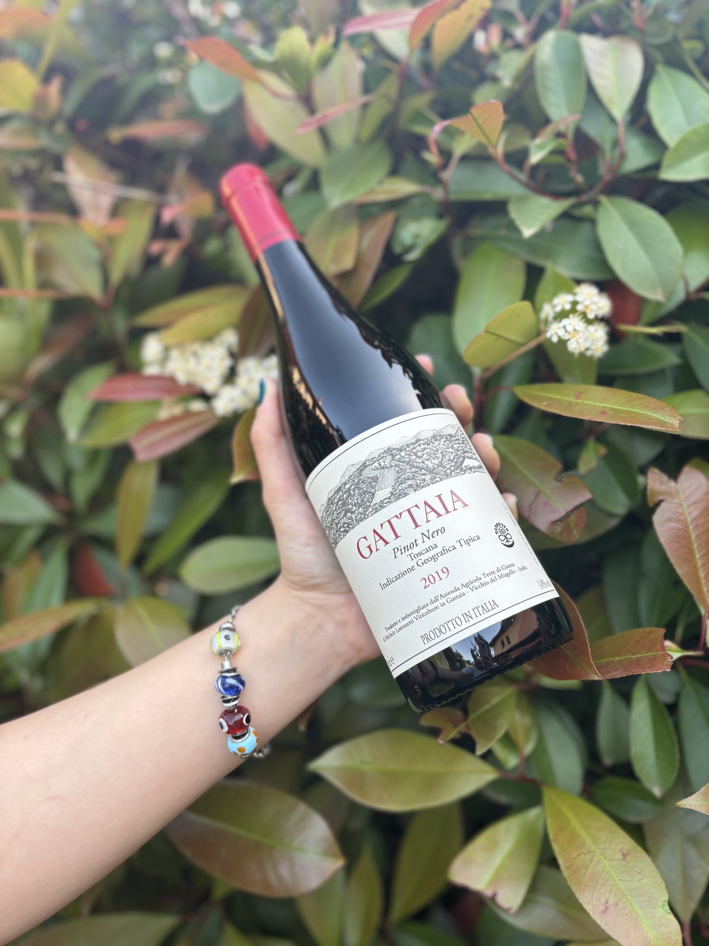Gattaia Pinot Nero 2021
