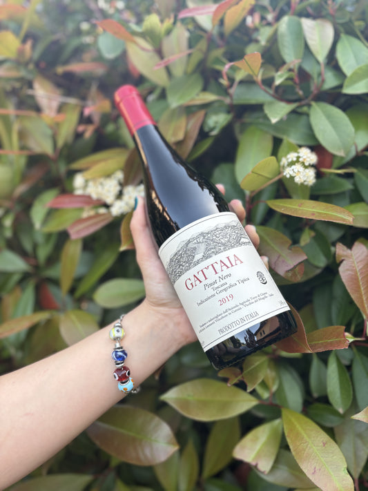 Gattaia Pinot Nero 2021