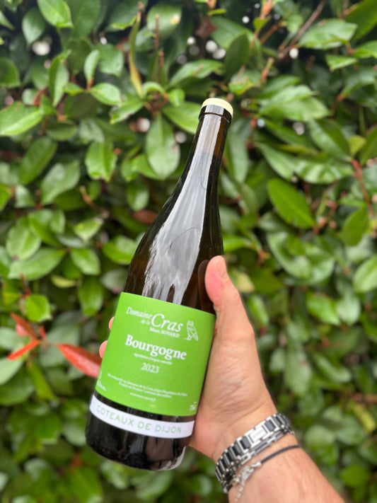 Bourgogne Blanc 2023