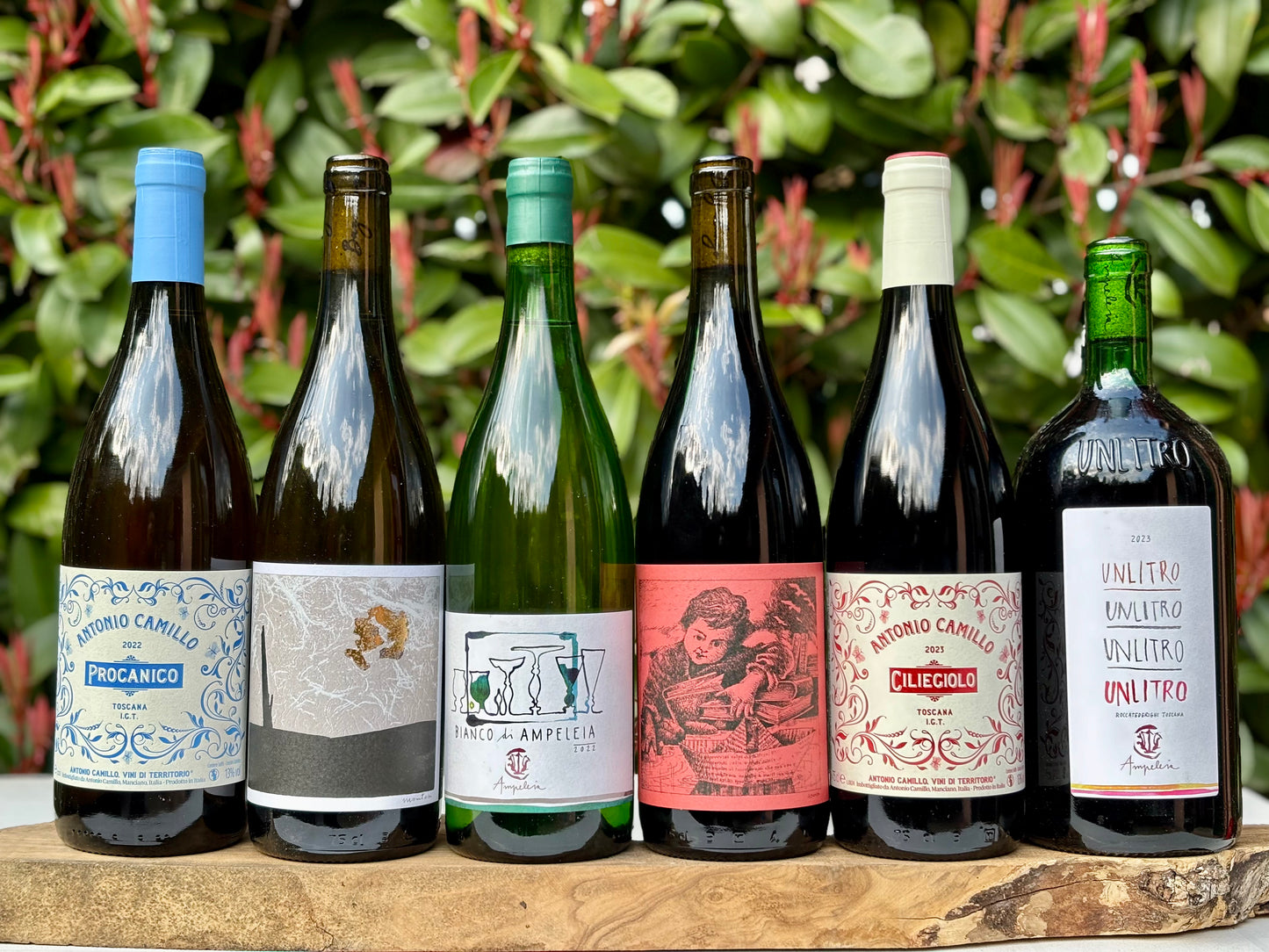 Maremma…che vini!