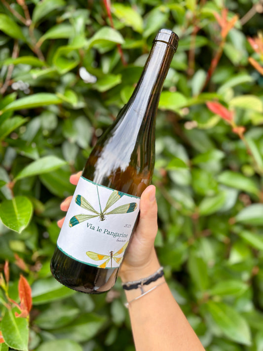 Via le Pangarine 2023 bianco