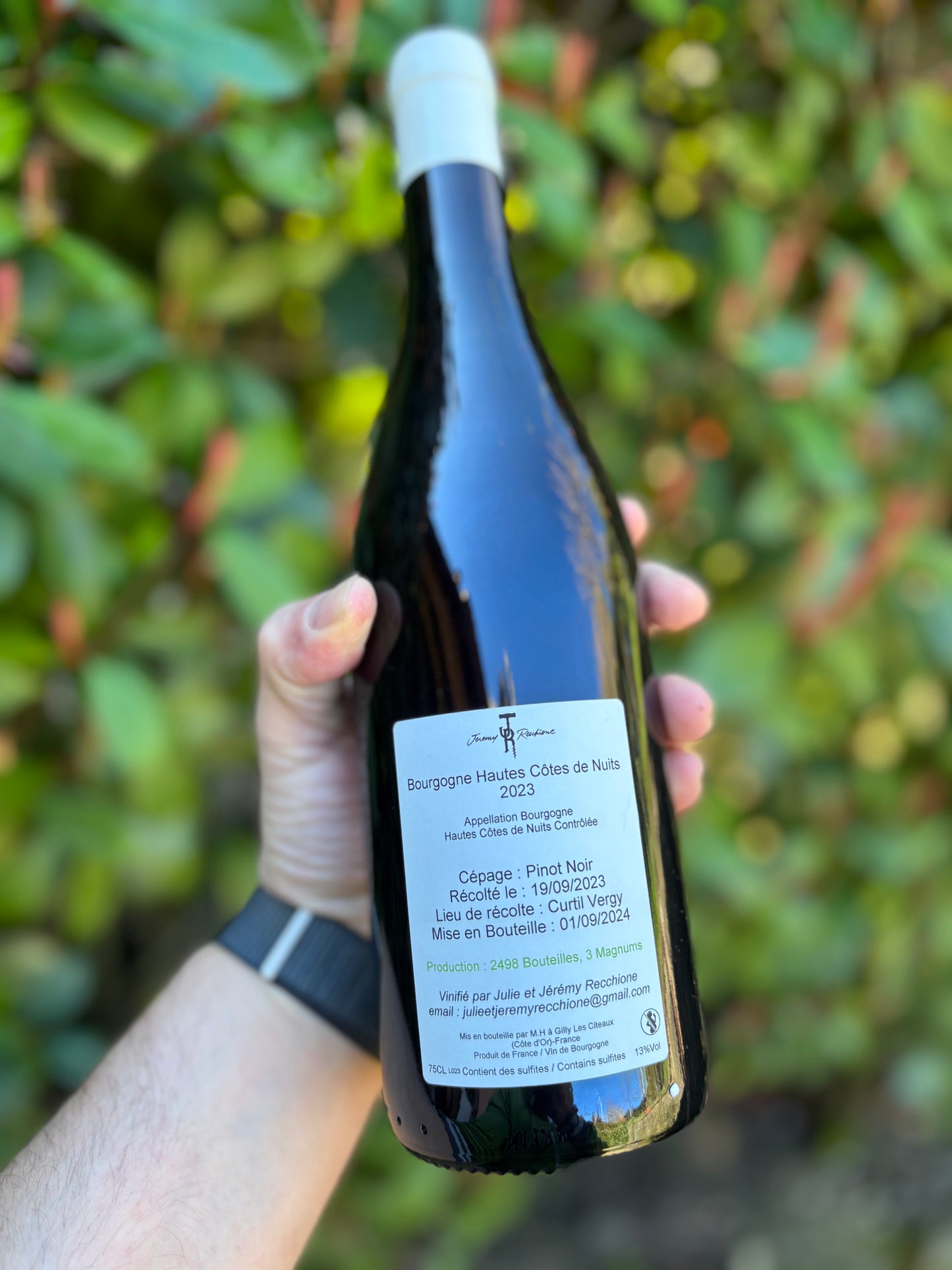 Haute côte de Nuits rouge 2023