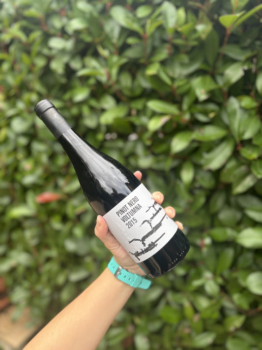 Pinot Nero 2015