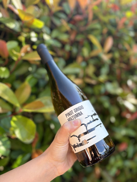 Pinot Grigio 2021