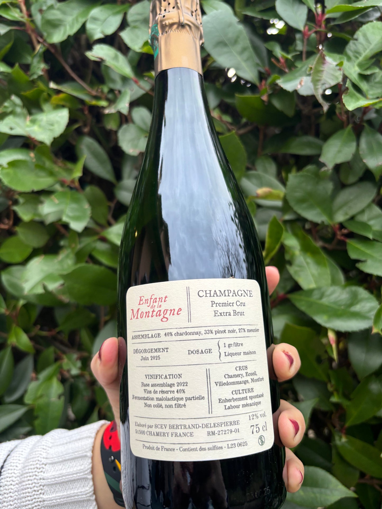 Enfant de la Montagne