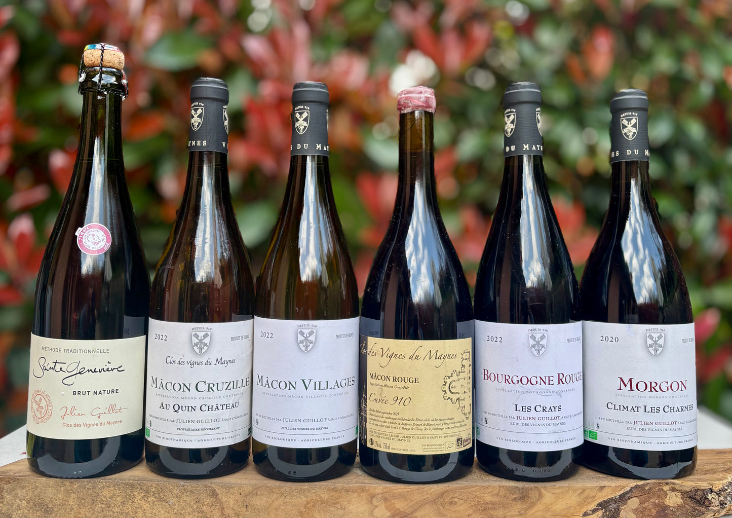 Box Clos des Vignes du Maynes