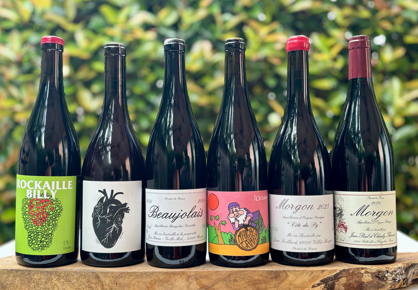 Gamay Box