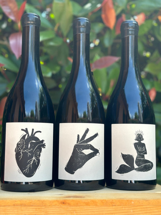 Box Vin Noé - Jonathan Purcell