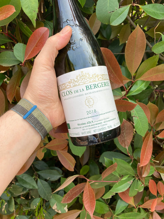 Clos de la Bergerie 2018