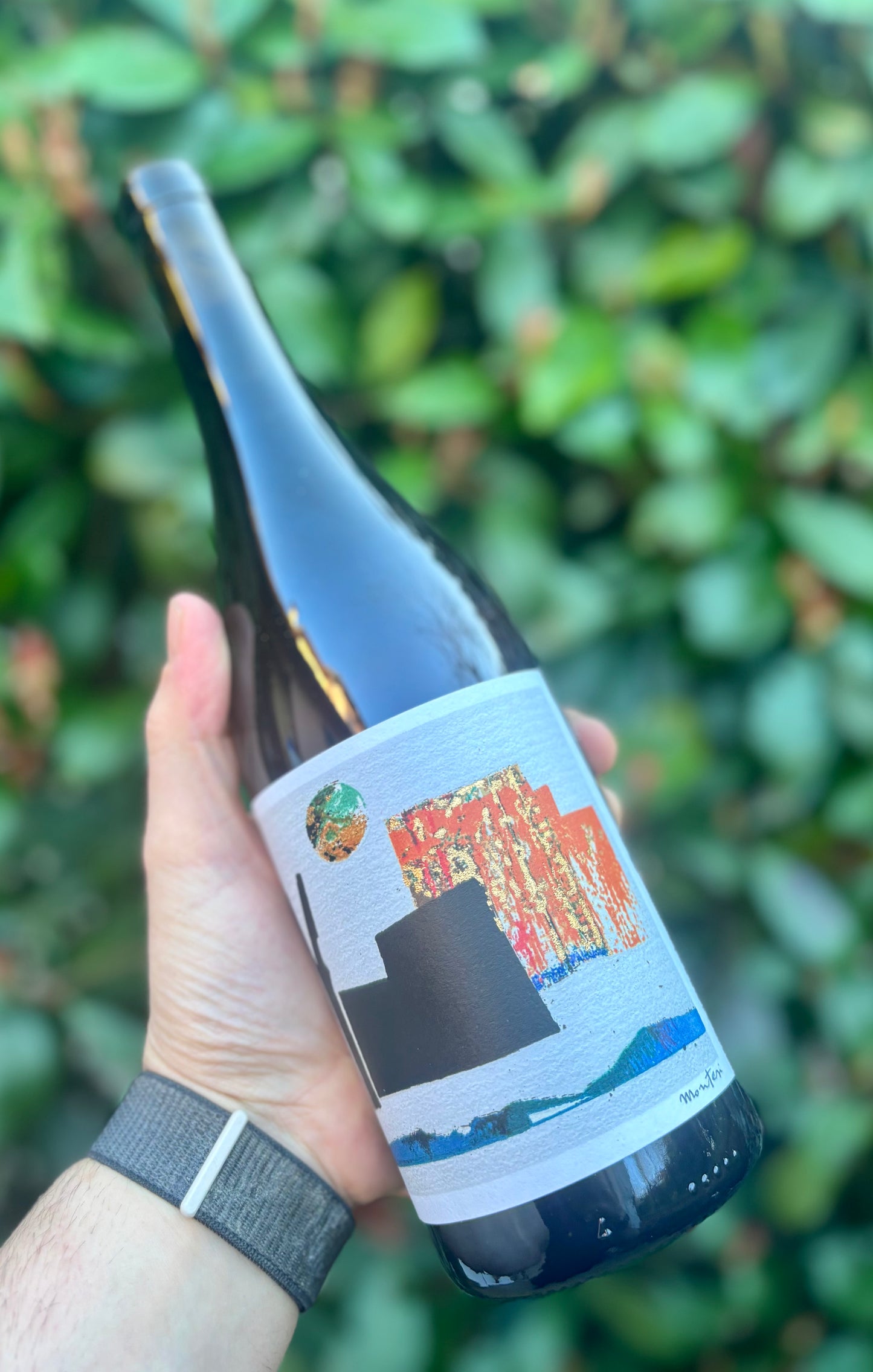 Poggio Rota 2024