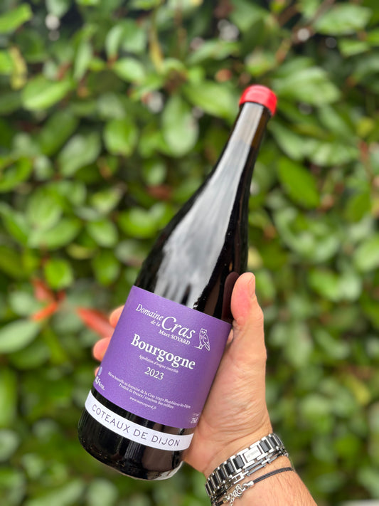 Bourgogne Rouge 2023