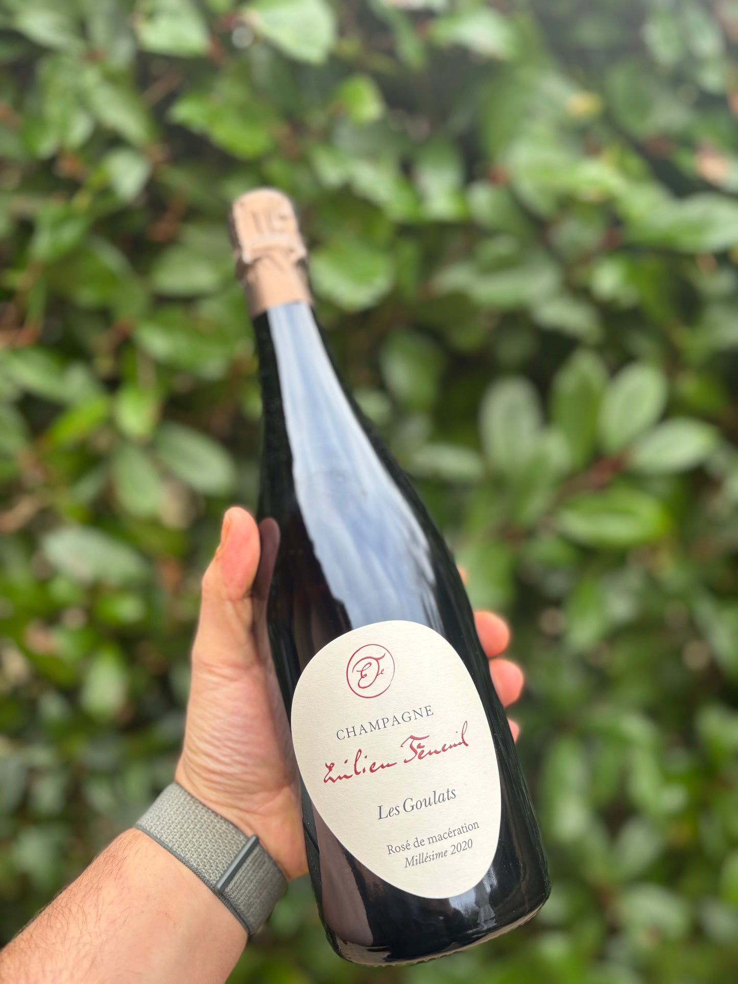 Les Goulats rosé 2020