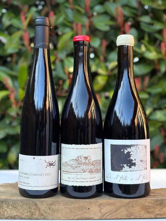 Box France Pinot Noir