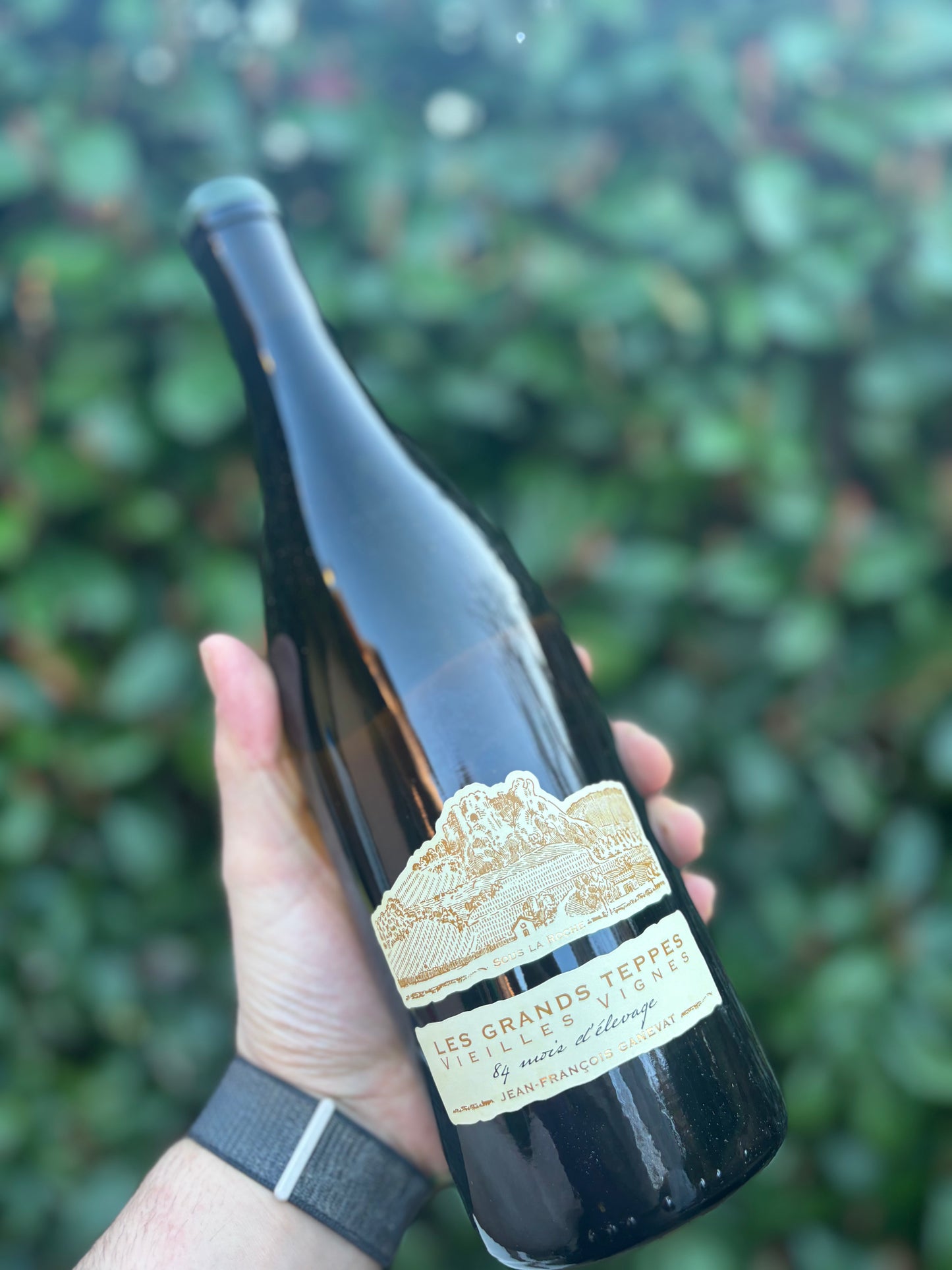 Grand Teppes Vielles Vignes 2018