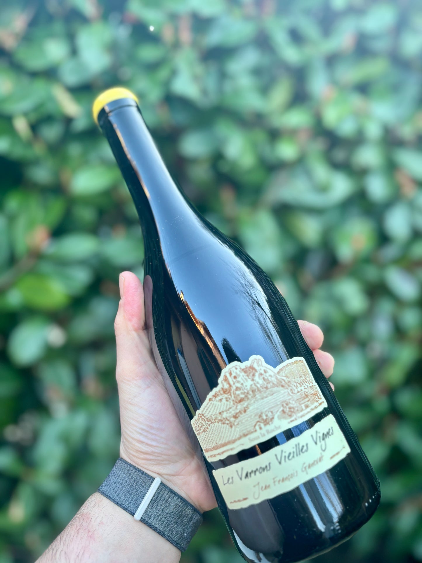 Les Varrons Vielles Vignes 2020