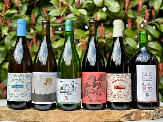Maremma…che vini!